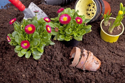 Gardeners Osterley cookie policy introduction image