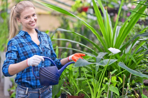 Garden maintenance in Osterley with tidy lawn and borders