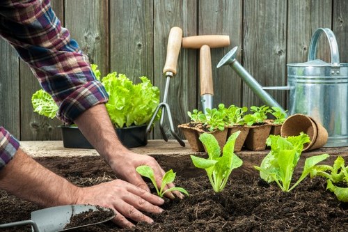 Inclusive accessibility review for Osterley gardening information