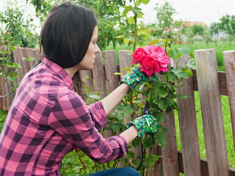 Annual review of Gardeners Osterley modern slavery controls