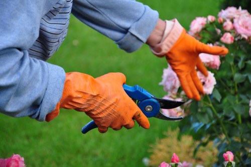 Gardeners Osterley conducting a site risk assessment