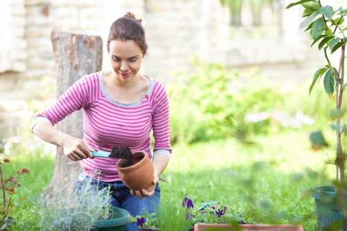 Soft landscaping with plants and lawn in Osterley