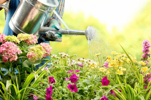 Seasonal garden clearance in Osterley with leaves and branches collected