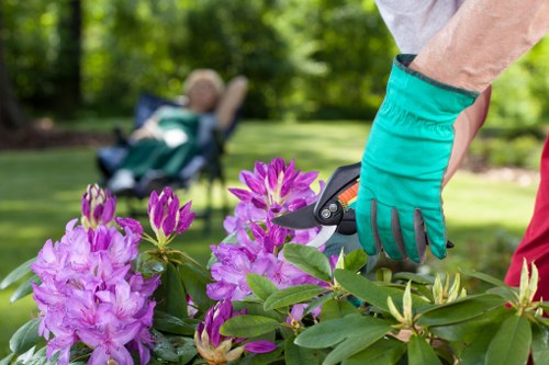 Osterley garden care with trimmed hedges and colorful borders