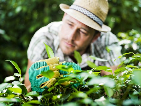 Final legal terms section for garden services