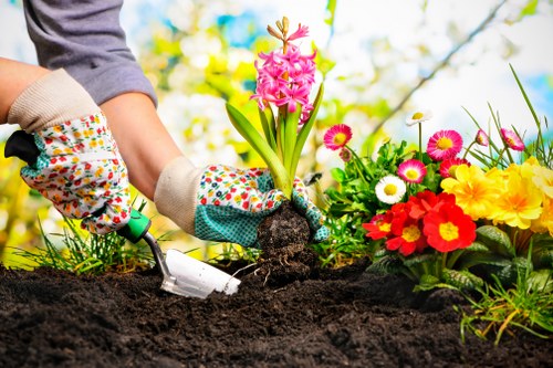 Transparent Osterley gardeners quotes for maintenance and garden clearance