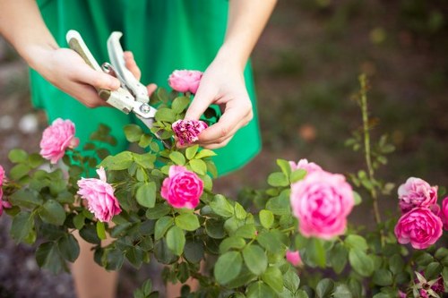Recycling and sustainability practices for Gardeners Osterley