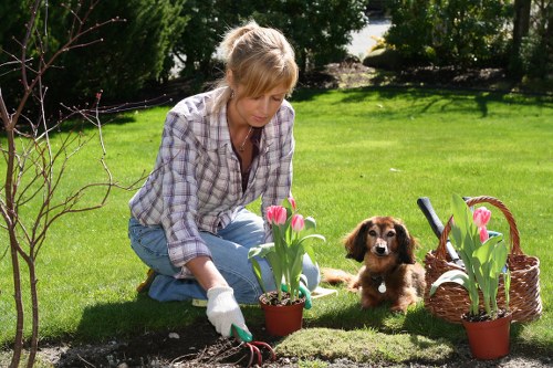 Gardener assessing outdoor conditions before starting work