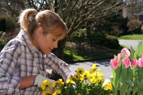 Low-carbon van used for sustainable garden services