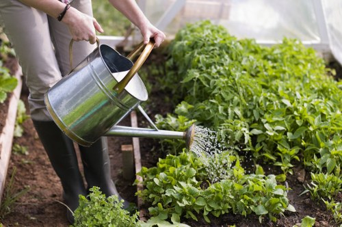 Supplier audit process for Gardeners Osterley