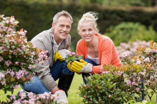 Seasonal hedge maintenance in Osterley