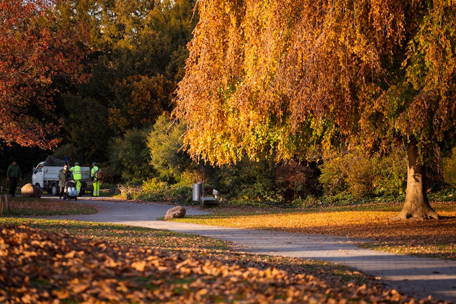 A scenic autumnal park scene featuring a wide paved pathway bordered by fallen leaves in shades of orange and brown. To the right, a large tree with vibrant orange and yellow foliage extends its branc